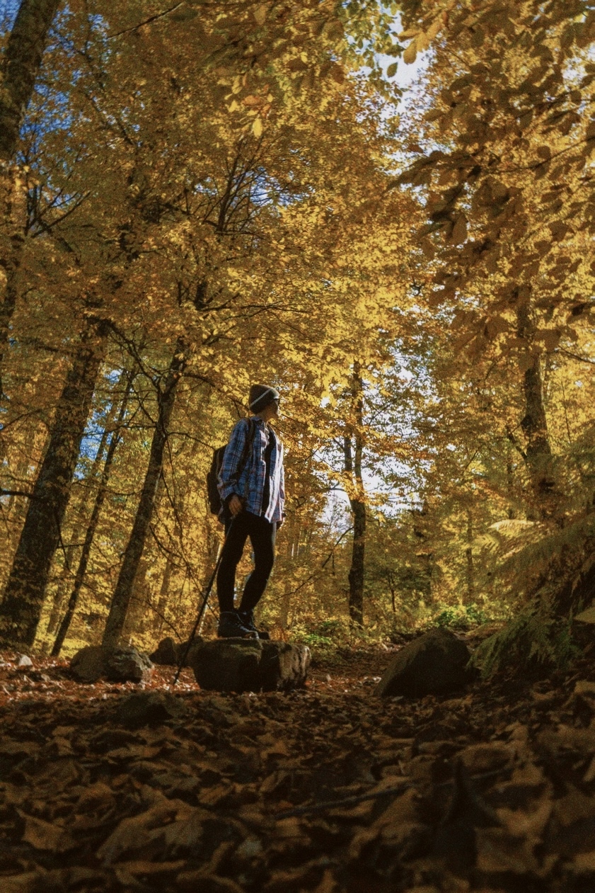 Шапка из кашемира