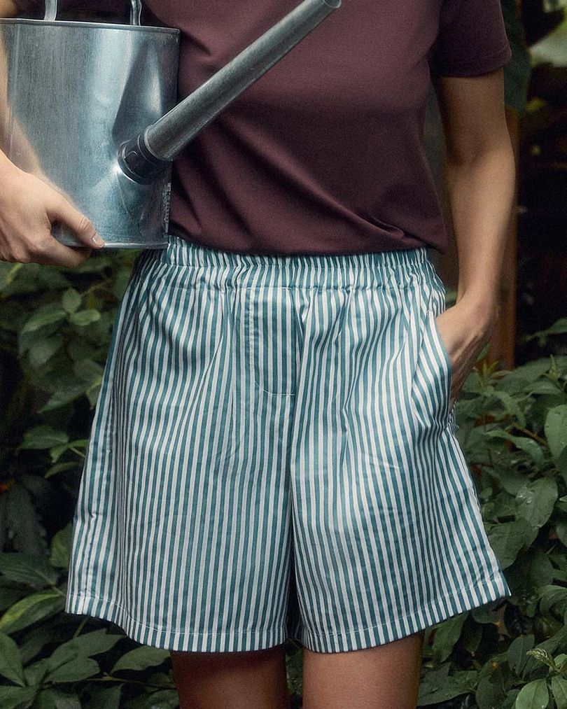 Шорты в полоску
